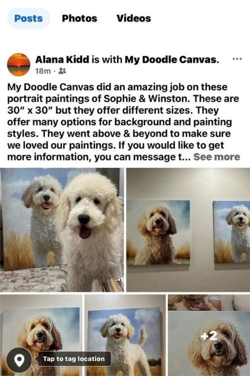 Social media post about My Doodle Canvas with images of dogs and text praising the service.